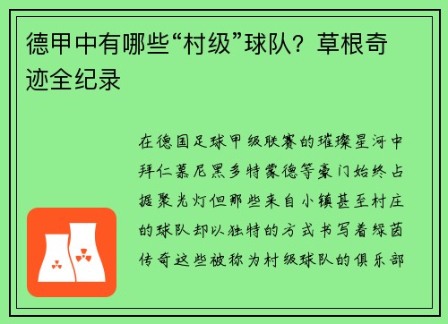 德甲中有哪些“村级”球队？草根奇迹全纪录